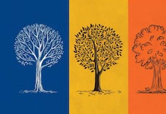 Descubre qué tan astuto eres con solo escoger uno de los árboles en esta imagen