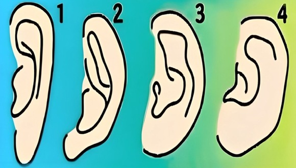 La forma de tu oreja según este test de personalidad revelará tus mayores cualidades (Foto: GenialGuru).