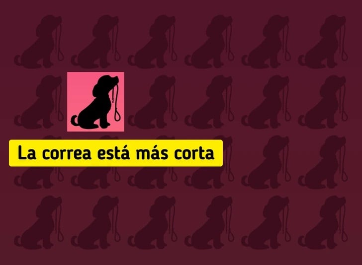 Respuesta al acertijo visual (Foto: GenialGuru)