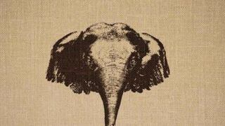 ¿Viste primero un elefante o un cisne? Descubre los detalles inéditos de tu personalidad con este test visual