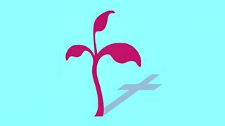 Test visual: atento a la imagen y lo primero que veas revela cómo eres enamorado