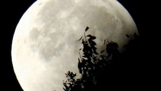 NASA TV - así se pudo seguir el eclipse lunar del 17 septiembre