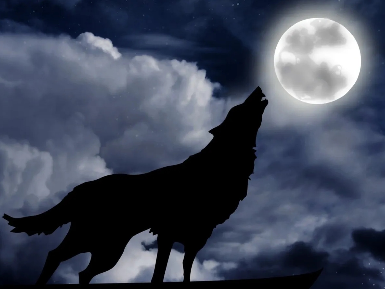 Este jueves 25 de enero se podrá ver la primera Luna llena del año o “Luna del Lobo”. Descubre cómo verla en su máximo esplendor.