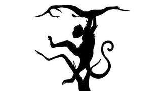 La silueta que observes primero en este test visual revelará si eres una persona rebelde