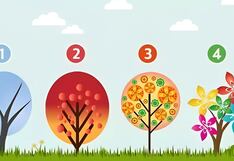 Elige uno de estos árboles y descubre cómo está tu estado de ánimo en este test visual