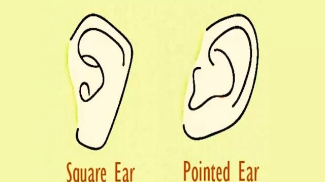 Conocerás rasgos de tu personalidad al indicar la forma de tus orejas