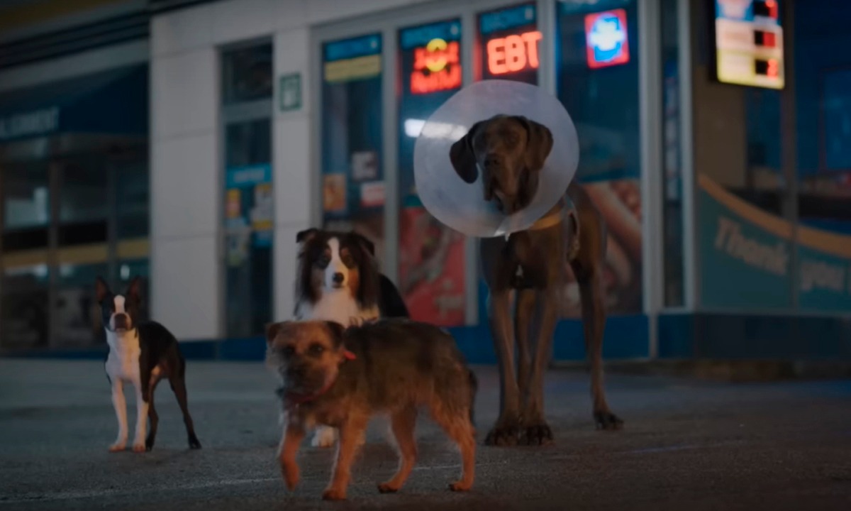 Hijos de Perra es una de las películas que está en la cartelera. (Foto: Captura/YouTube-Universal Pictures México)