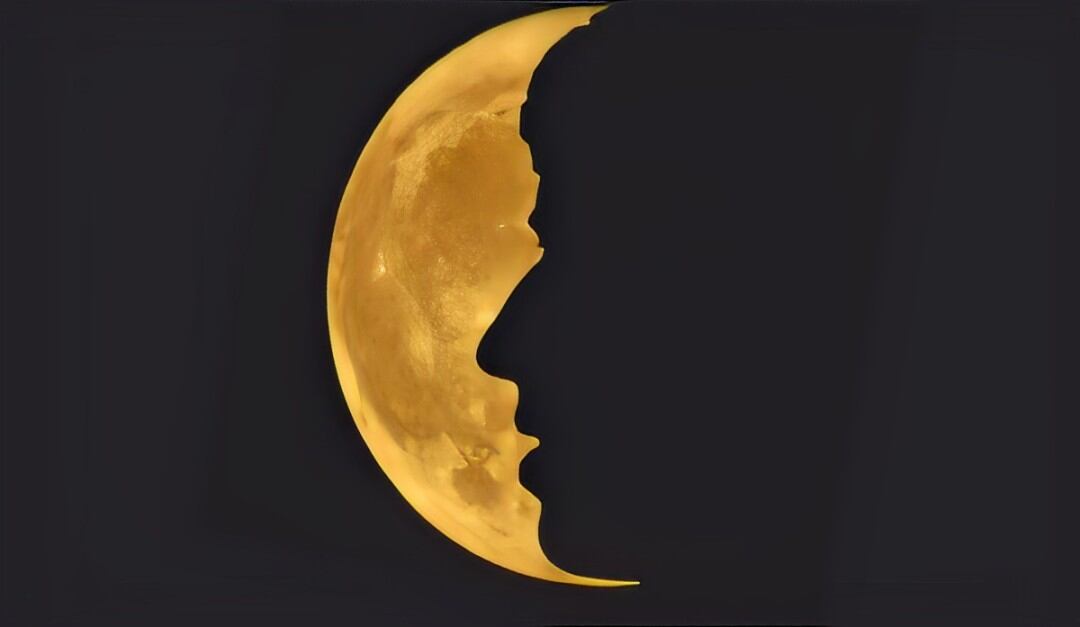 Test visual: descubre el tipo de inteligencia que posees. (Foto: Difusión)