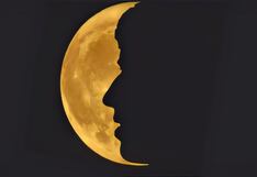 La primera figura que observas te hará saber el tipo de inteligencia que posees