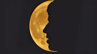 La primera figura que observas te hará saber el tipo de inteligencia que posees