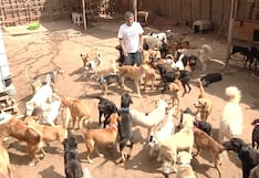 Waylluy se une a Albergue ‘Can Martín’ para promover la adopción responsable de mascotas