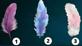 Elige la pluma que más te guste para descubrir tu fuerza interior