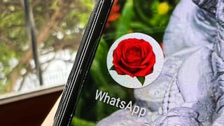 Santa Rosa de Lima: cómo poner una rosa como ícono de WhatsApp