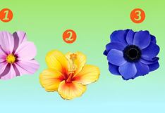 Conoce qué tan enamorado estás aquí, de acuerdo a la flor que elijas en la imagen