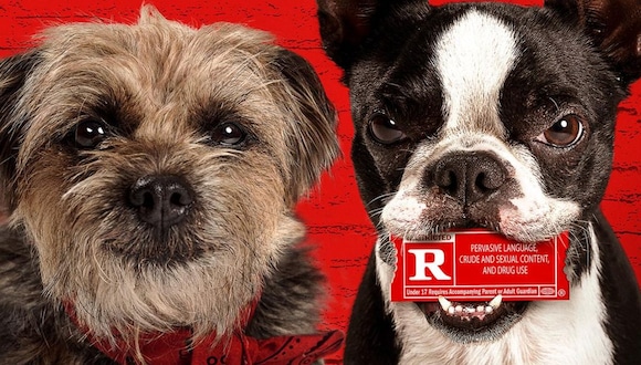Reggie y Bug son los perros protagonistas de “Strays” (Foto: Universal Pictures)