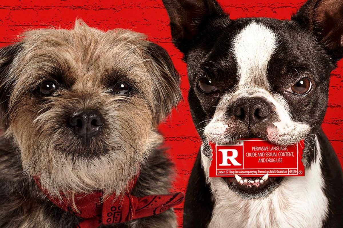 Reggie y Bug son los perros protagonistas de “Strays” (Foto: Universal Pictures)