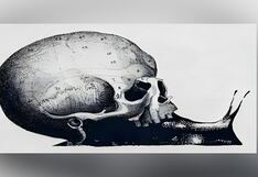 Test de personalidad: conoce si sabes tomar buenas decisiones, según qué viste