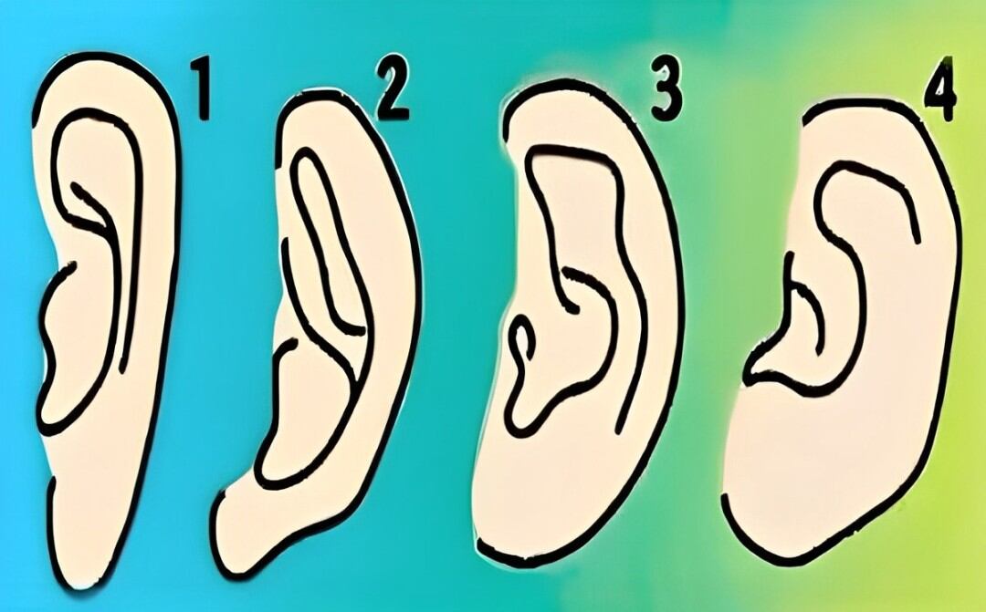 Test de personalidad: según la forma de tu oreja conocerás tus mayores cualidades (Foto: GenialGuru).