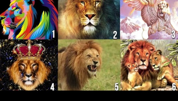 TEST VISUAL | En esta imagen se puede apreciar varios leones. Escoge uno. (Foto: namastest.net)