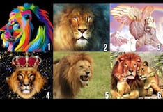 Averiguarás qué tipo de pareja necesitas cuando escojas un león