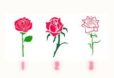 Escoge una rosa para conocer lo que piensan los demás al conocerte
