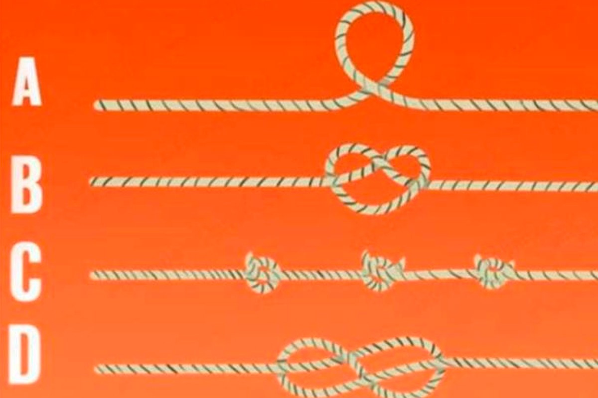 TEST VISUAL | Solo escoge la soga que consideres que es más larga. Tu decisión revelará cuál es tu capacidad intelectual. | Foto: iProfesional
