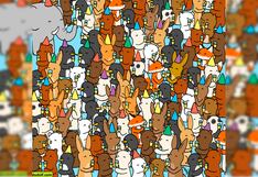 Te reto a encontrar las copas vacías en este complicado desafío visual