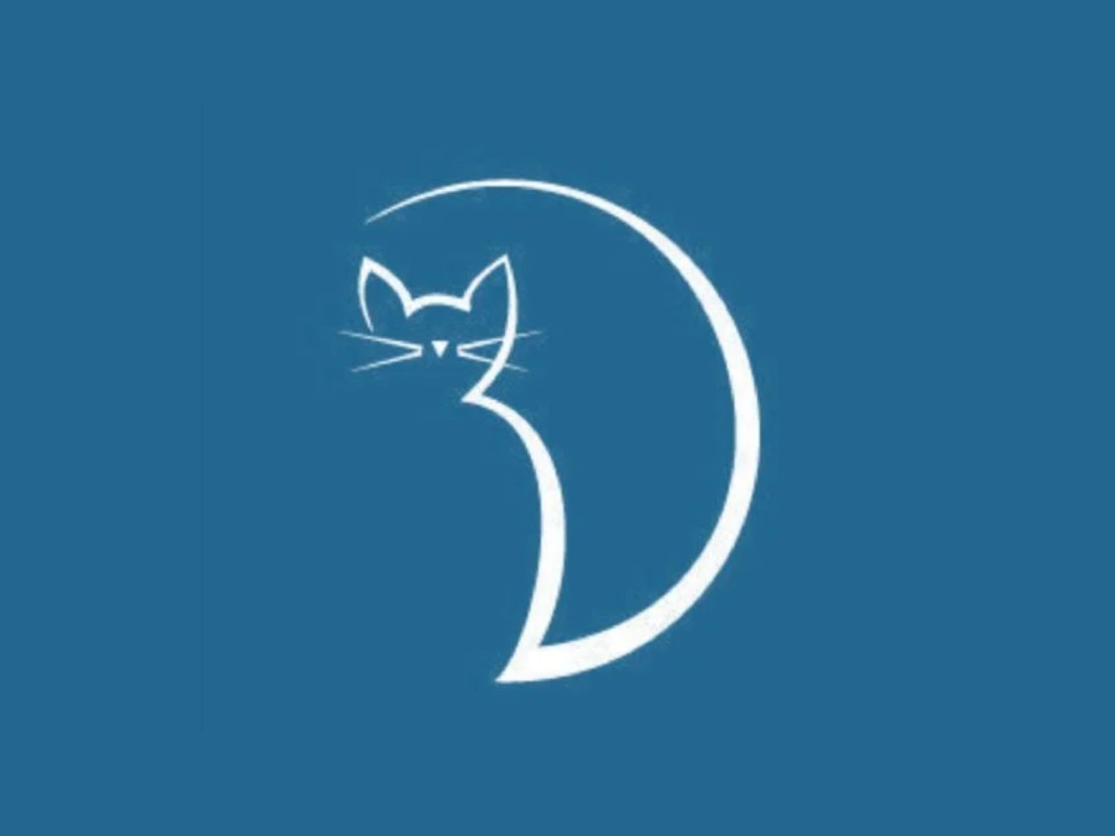 TEST VISUAL | Este tipo de actividades también son preferidas por miles de usuarios. (Foto: MDZO)