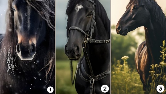 TEST VISUAL | Los caballos han sido apreciados por su belleza, fuera y nobleza a lo largo de la historia. (Foto: Composición Freepik / Depor)