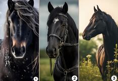 Tu verdadera personalidad será revelada al indicarme qué caballo negro te parece hermoso