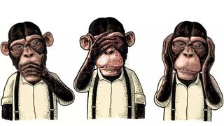 Escoge un mono y conocerás qué características ocultas tiene tu personalidad