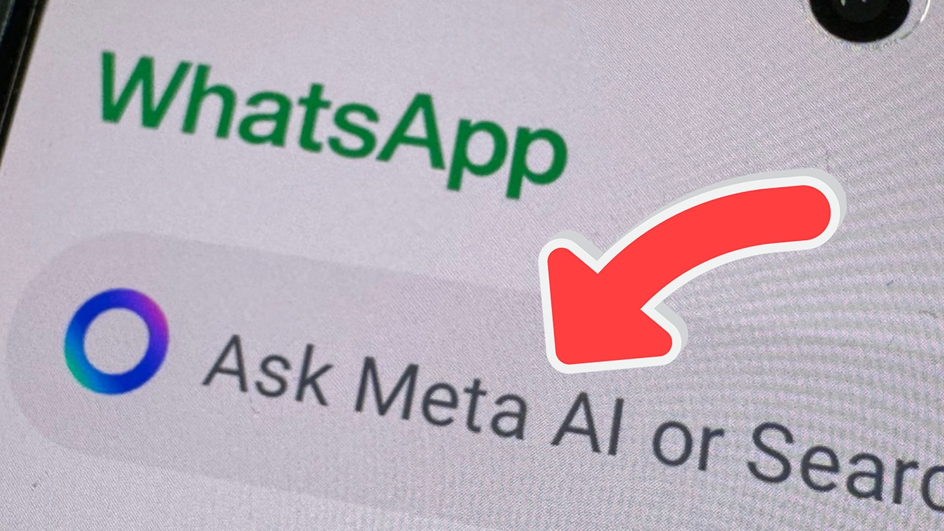 Meta AI es una especie de ChatGPT en las apps de mensajería (techguide)