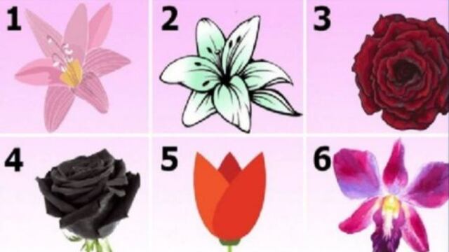 Test viral: elige ya mismo una de las flores y conocerás tus pensamientos más profundos 
