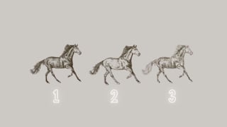¿Qué caballo está bien dibujado? Elige uno y descubre qué mensaje oculta