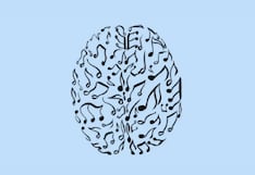 TEST VISUAL | Mira la imagen y coteja tu respuesta