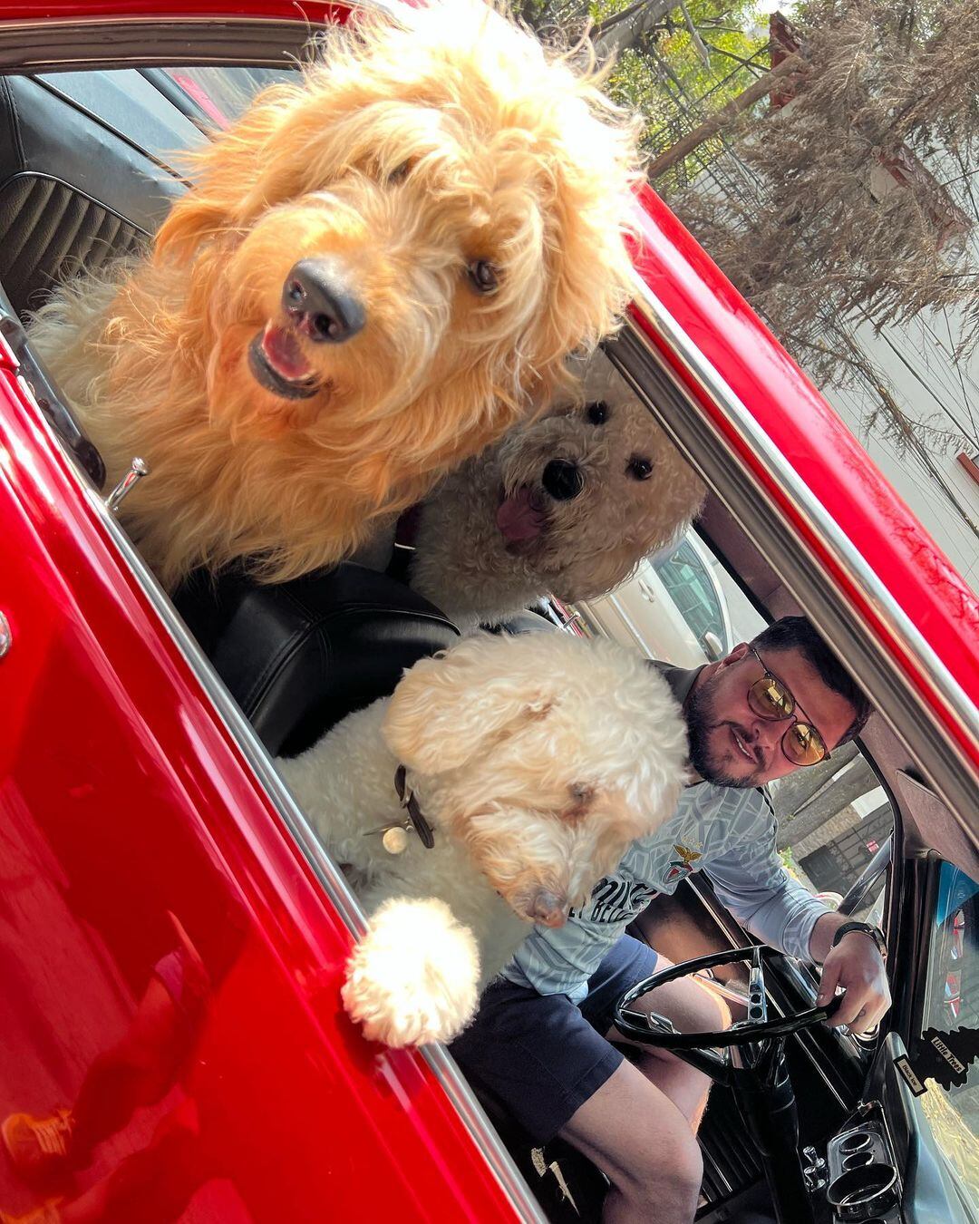 b El concursante de "La Casa de los Famosos México" y su novia al lado de sus mascotas (Foto: Paul Stanley / Instagram)