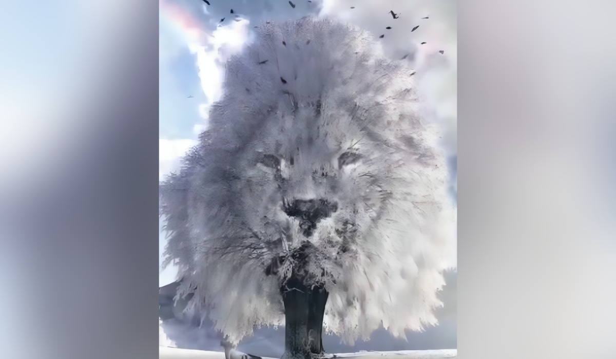 Descubre si le tienes miedo al futuro según lo primero que ves en este test visual (Foto: GenialGuru).