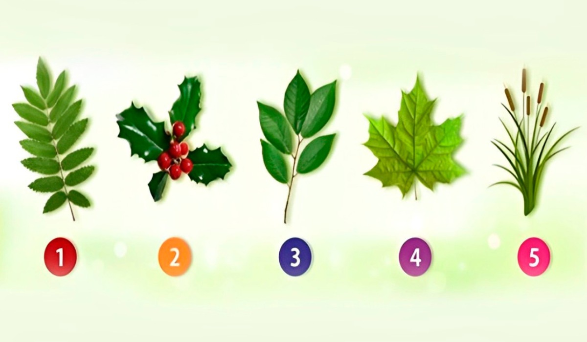 Test visual: elige una de las hojas en esta ilustración para descubrir quién eres realmente (Foto: Namastest).