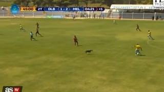 Diario español sobre torneo peruano: "Se cuela un perro y el partido sigue"