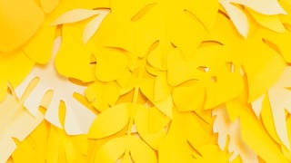 ¿Cómo hacer flores amarillas de papel para regalar a tu novia o novio este 21 de marzo?