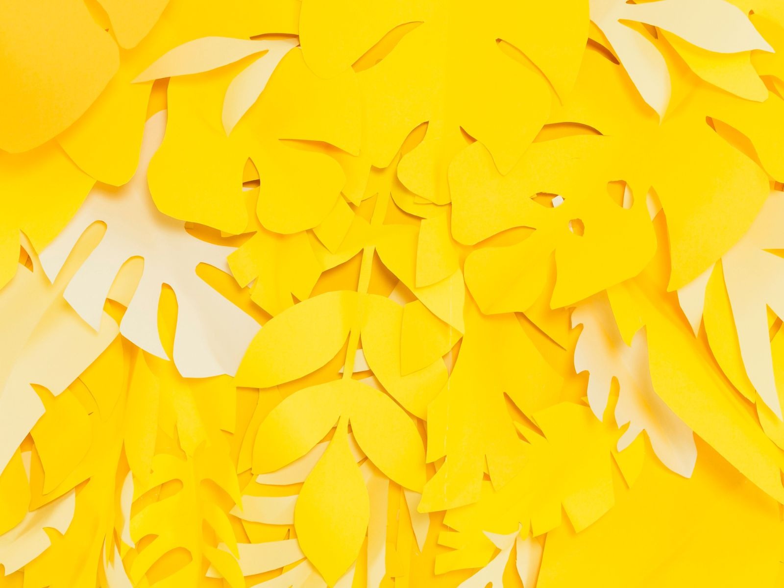 Aprende hacer unas flores amarillas de papel | Foto: freepik.es