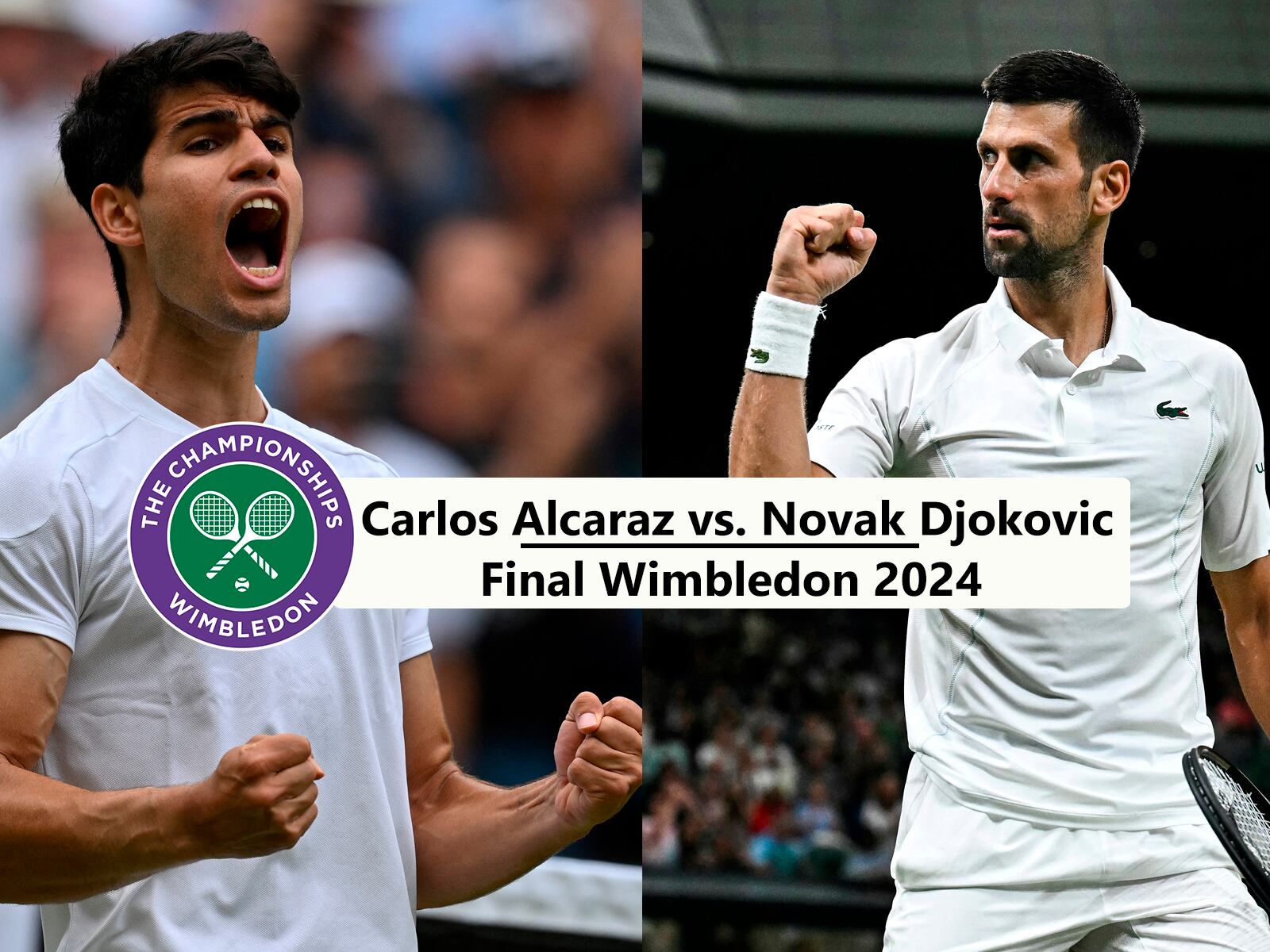Conoce aquí los horarios y distintos canales de transmisión para seguir la final de Wimbledon entre Carlos Alcaraz vs. Novak Djokovic.| Foto: AFP / Composición: Héctor Honores