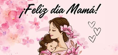 Noticias Sugeridas