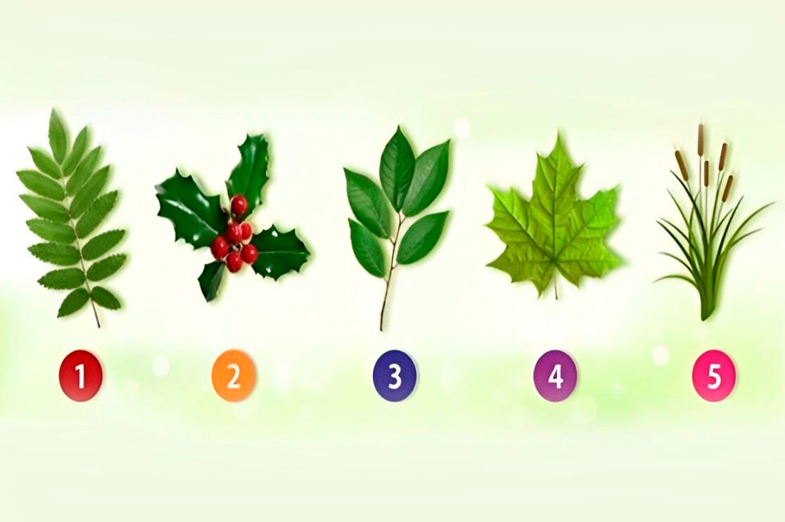 Elige una de las hojas en esta ilustración para descubrir quién eres realmente (Foto: Namastest).