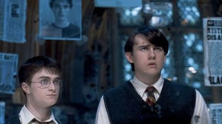 5 diferencias y 5 similitudes entre Harry Potter Neville Longbottom 