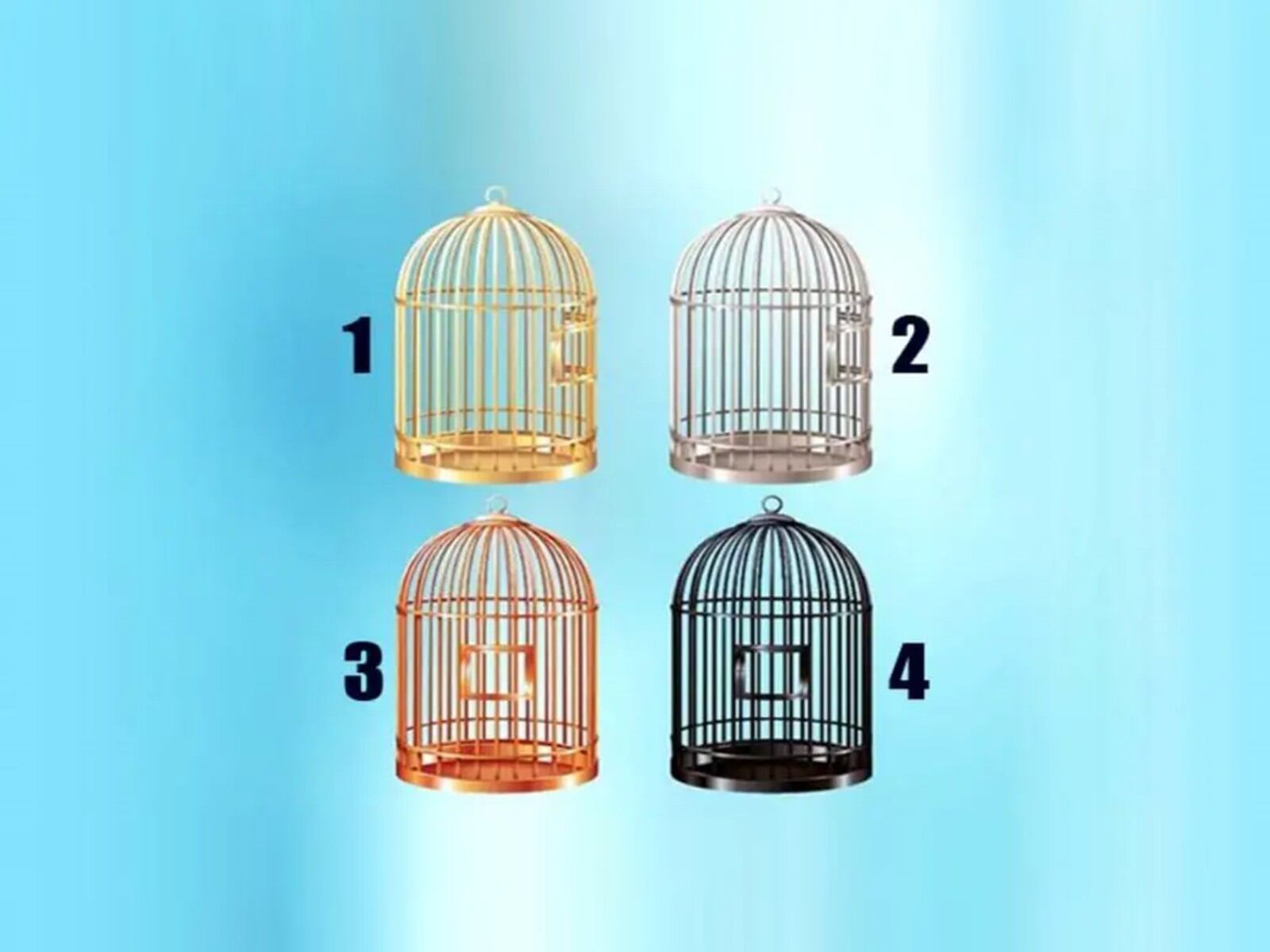 TEST VISUAL | En esta imagen hay cuatro jaulas. Tienes que elegir una. (Foto: namastest.net)