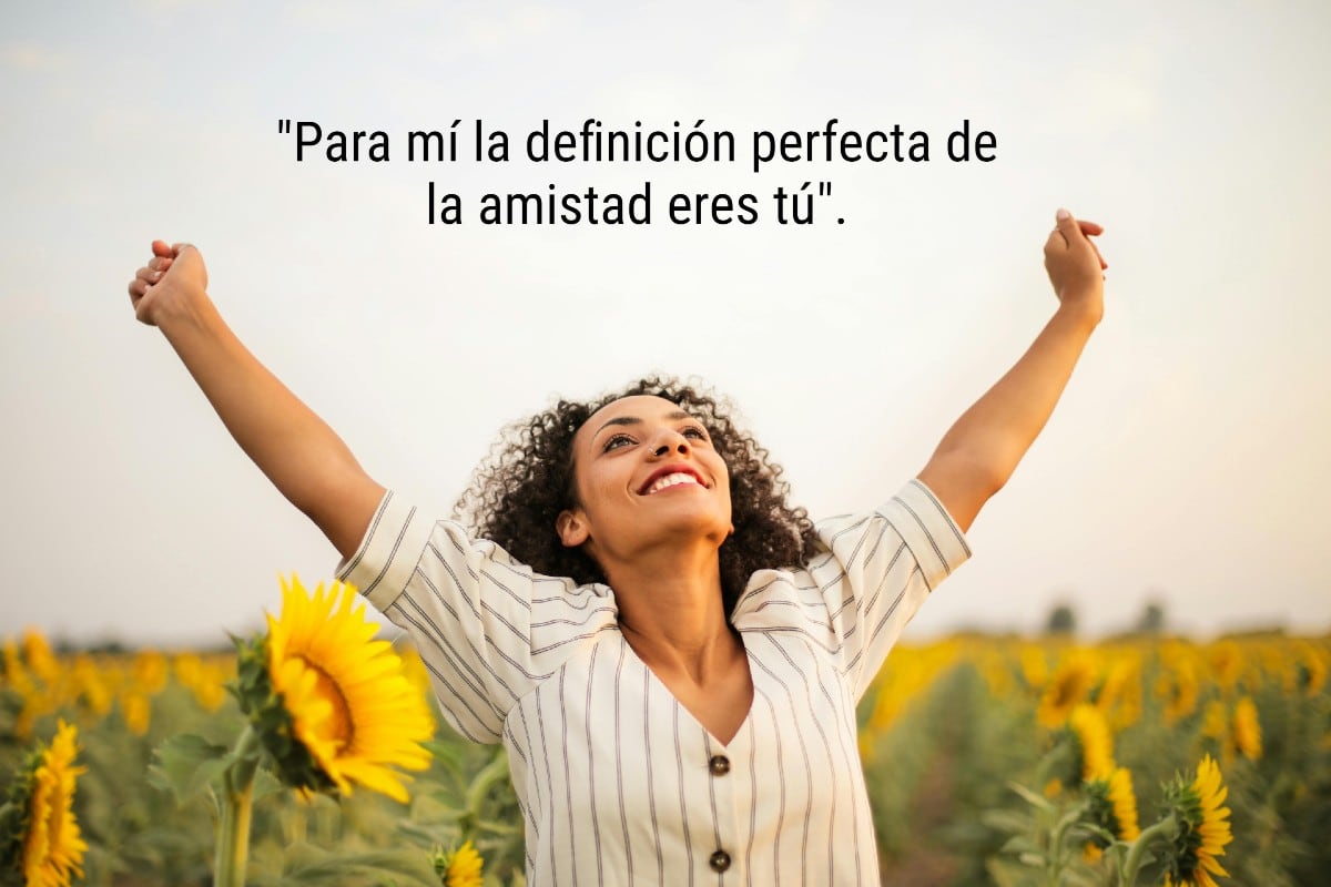 FRASES | Este 21 de septiembre es una gran oportunidad para recordarle a tu amiga cuánto la valoras y quieres con unas flores amarillas. (Foto: Foto de Andrea Piacquadio / Pexels)