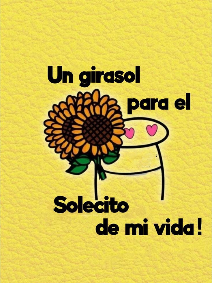 Imágenes de flores amarillas para compartir este 21 de marzo en redes sociales (Foto: Pinterest).