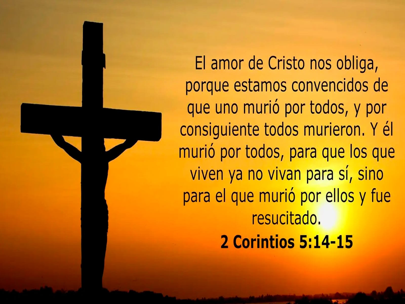 Estos versículos te podrán ayudar a comprender el sacrificio de Jesucristo en Semana Santa.| (Foto: FreePik/Composición: Audiencias GEC)