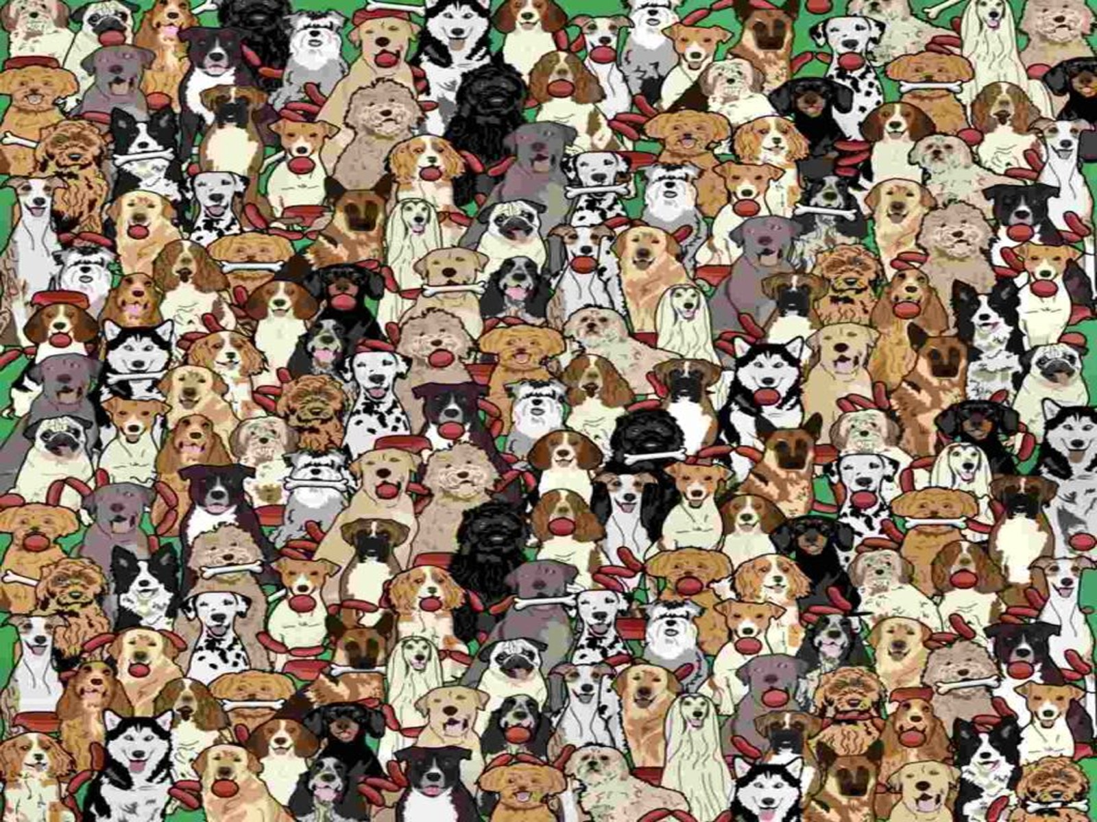 DESAFÍO VISUAL | Intenta encontrar al perro que tiene una ristra de salchichas en la boca dentro de la imagen. | Toff London